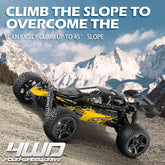 Hosim 1:14 4WD 36km/h Radio Controlled Monster Truck Buggy G171 Yellow